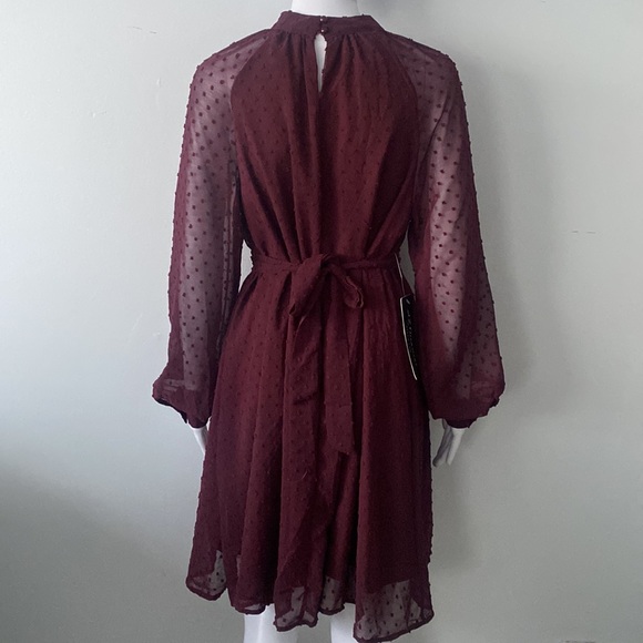 SOLD!!! NWT Poetic Love Cabernet Swiss Dot Long Sleeve Dress - Picture 6 of 8
